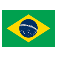 Bandeira Brasil Oficial Logo PNG Vector