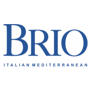 BRIO Logo PNG Vector