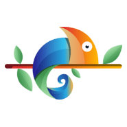 Colorful Bird Logo PNG Vector