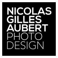 Nicolas Gilles Aubert Photos Design Logo PNG Vector