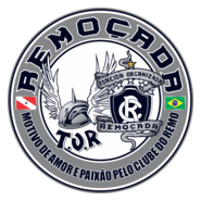 Patch Remoçada Logo PNG Vector
