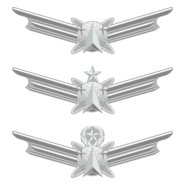 USAF Space wings Logo PNG Vector