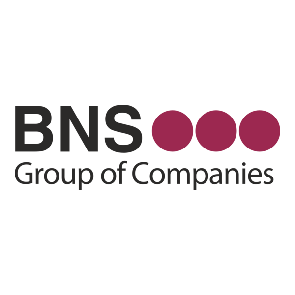 BNS-Group Logo PNG Vector
