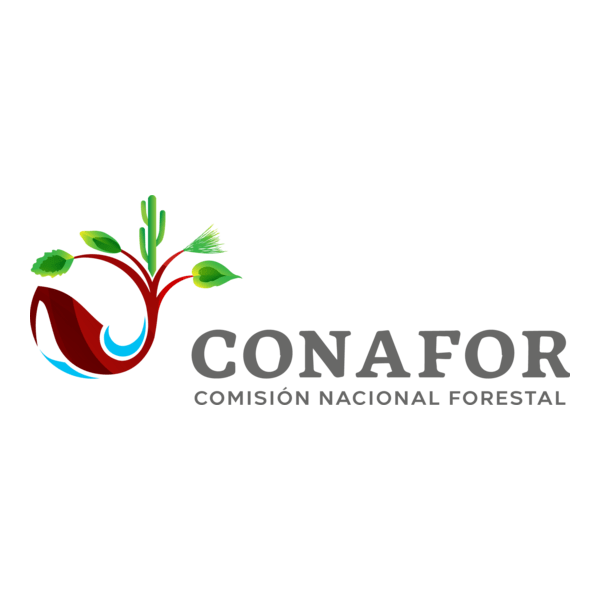 Conafor 2018-2024 Logo PNG Vector