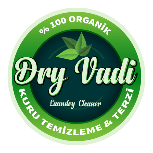 dry vadi kuru temizleme Logo PNG Vector
