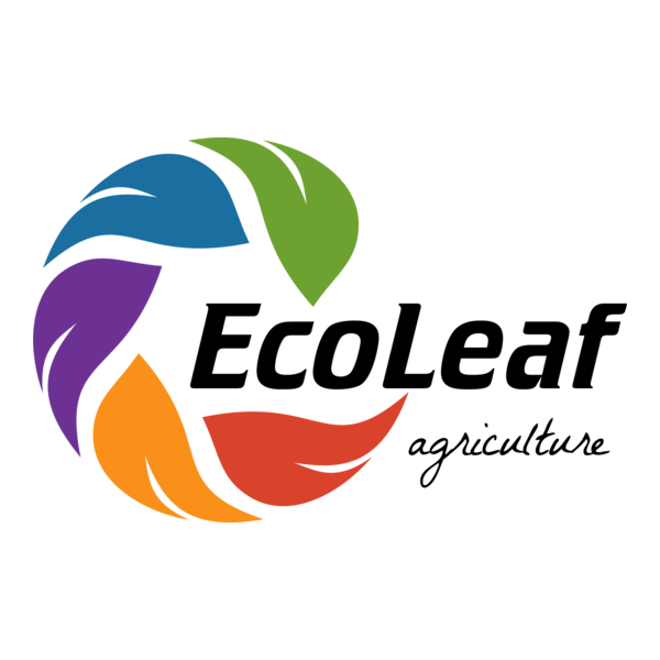 ECO LEAF Logo PNG Vector