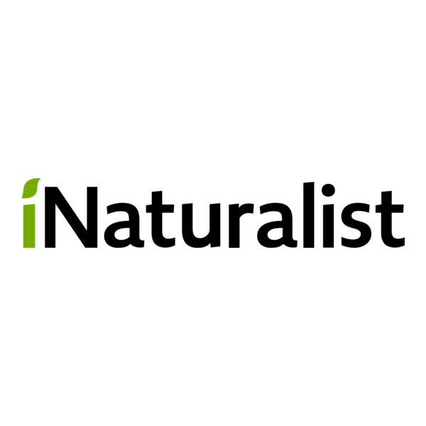 iNaturalist Logo PNG Vector