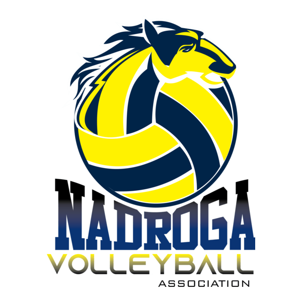 Nadroga Volleyball Association Logo PNG Vector