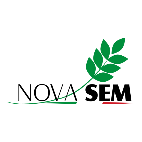 Novasem Srl Logo PNG Vector