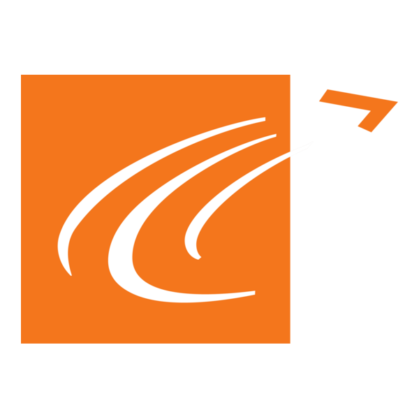 The Boomerang Group Logo PNG Vector