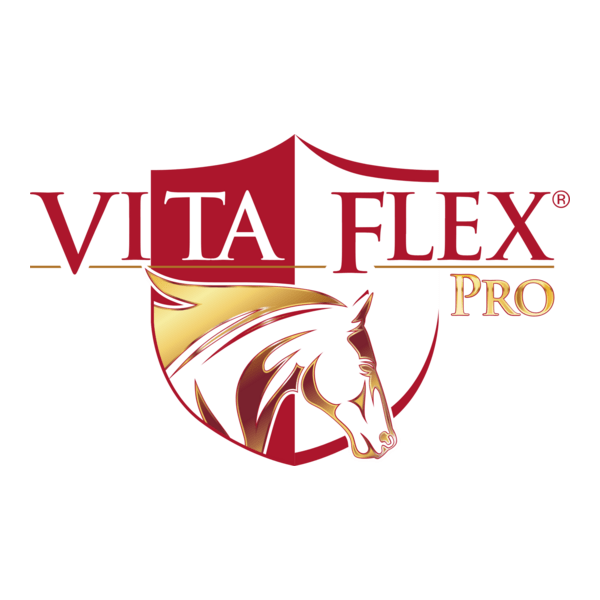 VITA FLEX PRO Logo PNG Vector