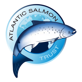Atlantic Salmon Trust Logo PNG Vector