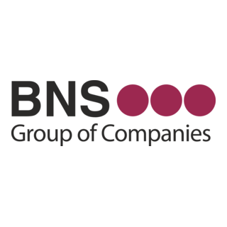BNS-Group Logo PNG Vector
