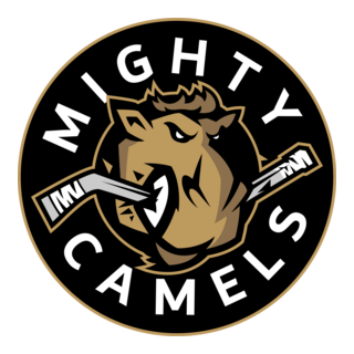 Dubai Mighty Camels Logo PNG Vector