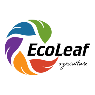 ECO LEAF Logo PNG Vector