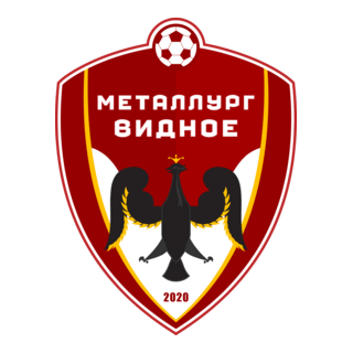 FK Metallurg Vidnoe Logo PNG Vector