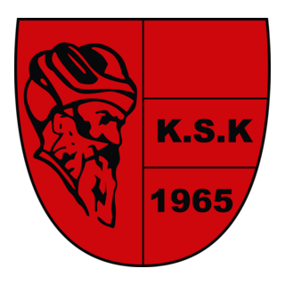 Kocasinanspor Logo PNG Vector