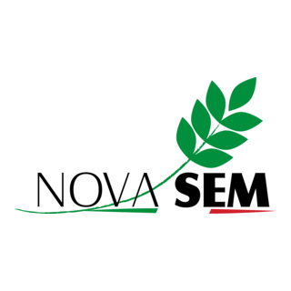 Novasem Srl Logo PNG Vector