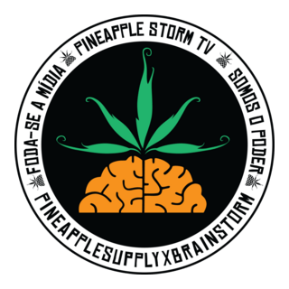 Pineapple Storm Logo PNG Vector