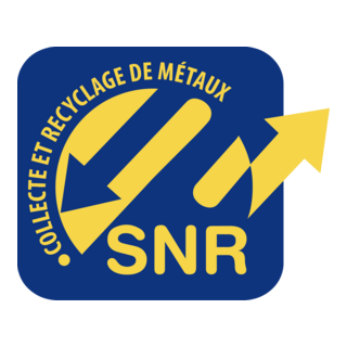 SNR Logo PNG Vector