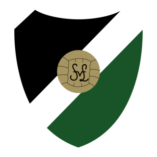 SV Tiba-Gady-Raiffeisen Lebring Logo PNG Vector