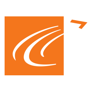 The Boomerang Group Logo PNG Vector