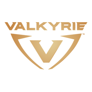VALKYRIE Logo PNG Vector