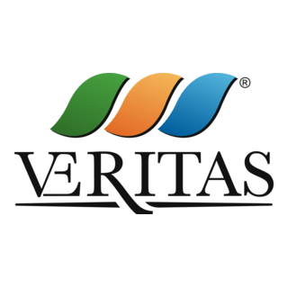 Veritas Logo PNG Vector
