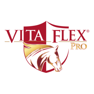 VITA FLEX PRO Logo PNG Vector