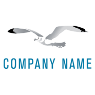 Bird Company Logo PNG Vector