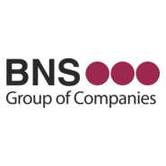 BNS-Group Logo PNG Vector