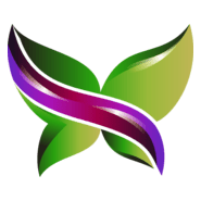 Butterfly Creation 3D High Quality Logo PNG Vector