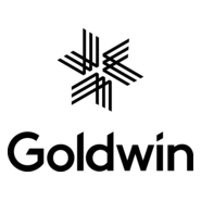 Goldwin Logo PNG Vector