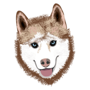 husky Logo PNG Vector