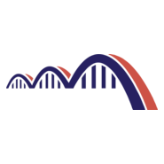 Köprü Logo PNG Vector