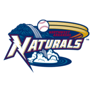 Northwest Arkansas Naturals Logo PNG Vector
