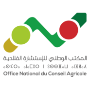 ONCA Logo PNG Vector