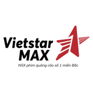 Vietstarmax Production house Logo PNG Vector