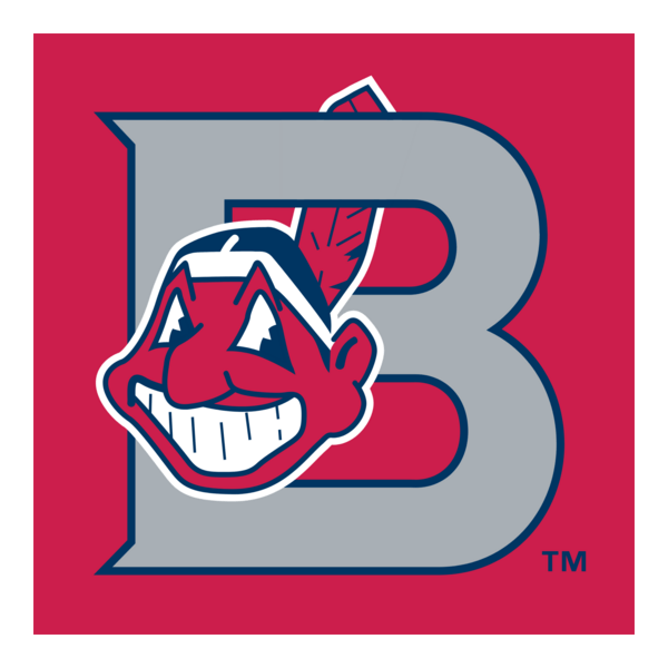 Burlington Indians Logo PNG Vector