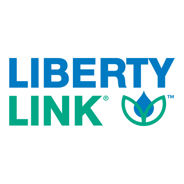 LIBERTY LINK Logo PNG Vector