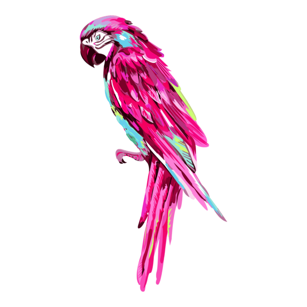 Pink Parrot Logo PNG Vector