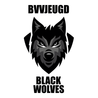 Bocholter VV Logo PNG Vector