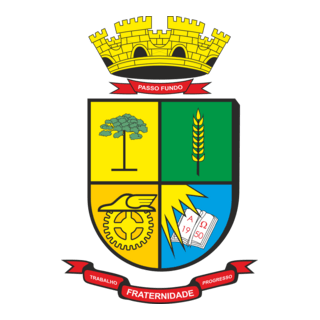 Brasão de Passo Fundo Logo PNG Vector