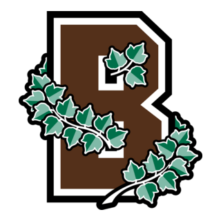 Brown Bears Logo PNG Vector