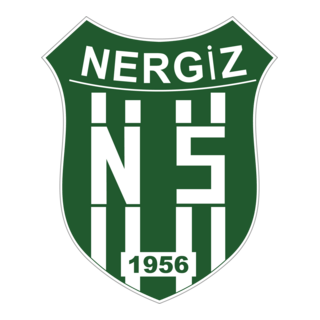 Nergizspor Logo PNG Vector