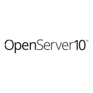 OpenServer 10 Logo PNG Vector