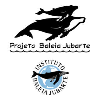 Projeto Baleia Jubarte Logo PNG Vector