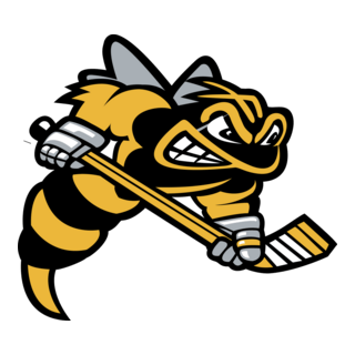 Sarnia Sting Logo PNG Vector