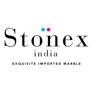 Stonex India Logo PNG Vector