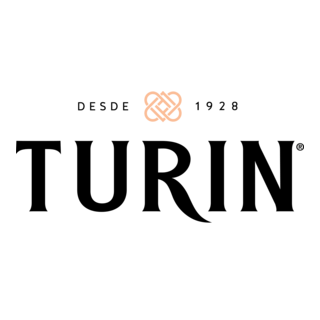 TURIN Logo PNG Vector